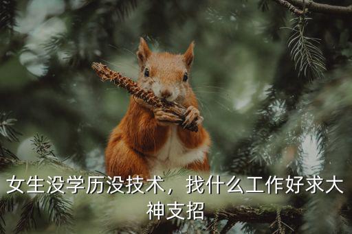 没学历的女生做什么工作好,女生没学历没技术