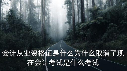 做会计考什么证书吗,会计从业资格证是什么