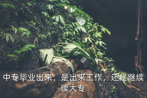 读了中专在读什么,中专毕业出来