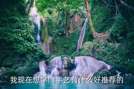 我现在想学门手艺有什么好推荐的