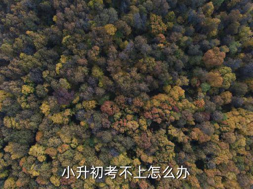 考不上初中怎么办,小升初考不上怎么办