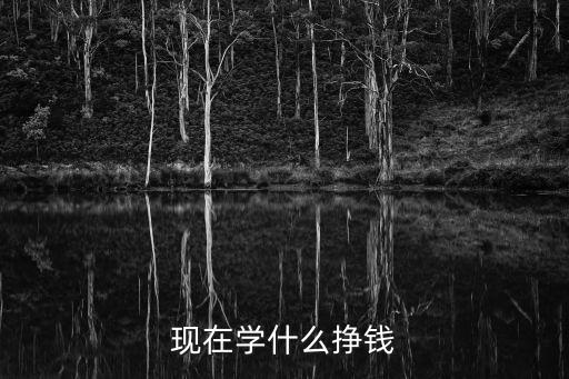 现在学什么挣钱
