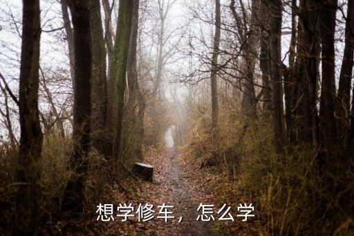想学修车，怎么学