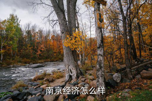 南京经济怎么样