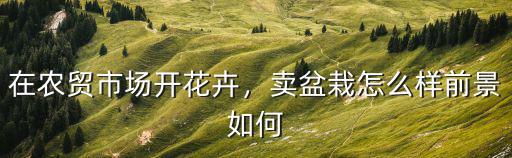 想做花卉生意怎么样,但想做花的生意