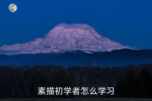要学素描的话怎么入门,自学素描初学者基础怎么学