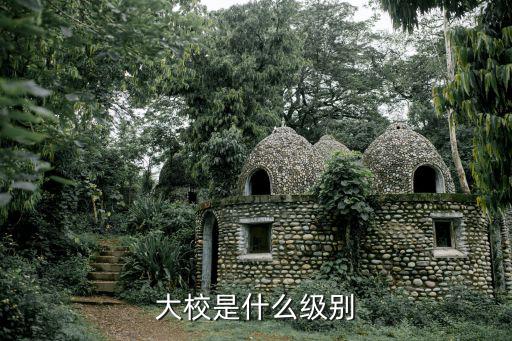 校官是什么级别,陆军参谋长是什么关系