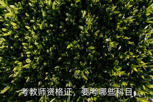 考教师资格证，要考哪些科目