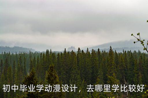 宁波哪里学动漫设计,初中毕业学动漫设计