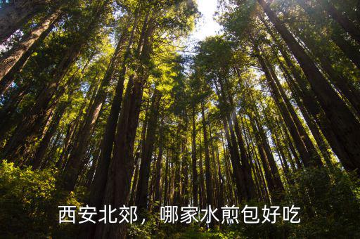 西安北郊，哪家水煎包好吃