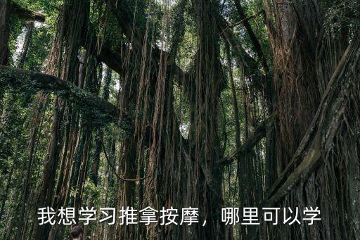想学中医按摩去哪里学,我想学习推拿按摩