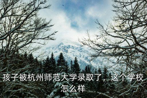 杭州中政教育 怎么样,这个学校怎么样