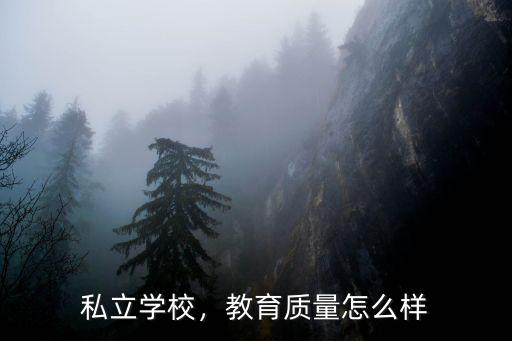 森特教育怎么样,想开一个美术培训班怎么样