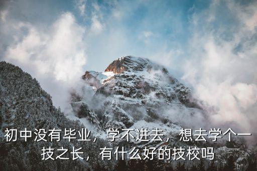 初中没有毕业，学不进去，想去学个一技之长，有什么好的技校吗