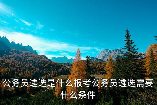 国考遴选是什么意思,报考公务员遴选需要什么条件