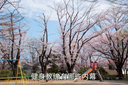 健身教练主要教什么,作为一名健身教练