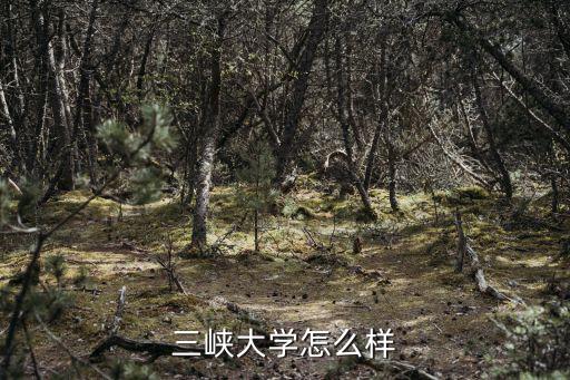 三峡大学怎么样