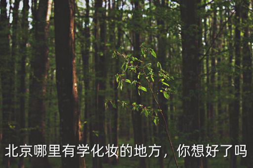 北京哪里有学化妆的地方，你想好了吗