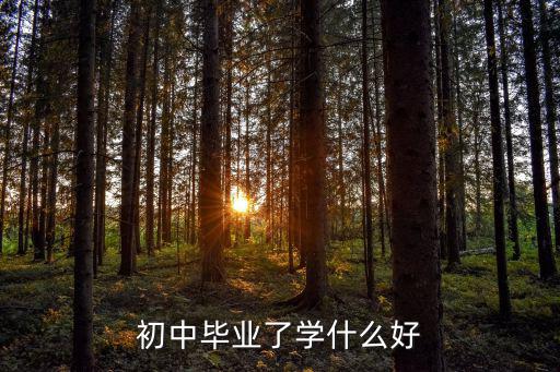 初中毕业了学什么好