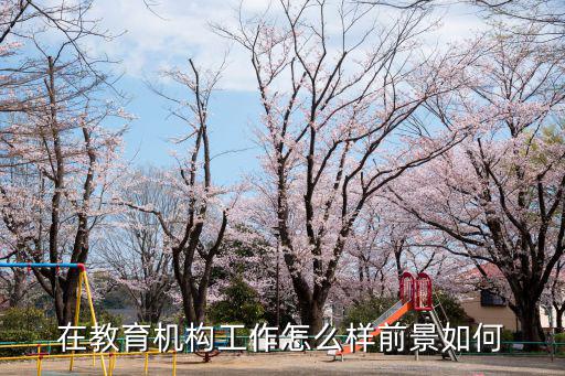 在教育机构工作怎么样前景如何