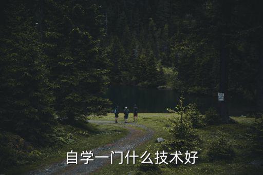 自学一门什么技术好