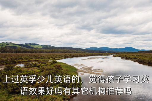 上过英孚少儿英语的，觉得孩子学习英语效果好吗有其它机构推荐吗