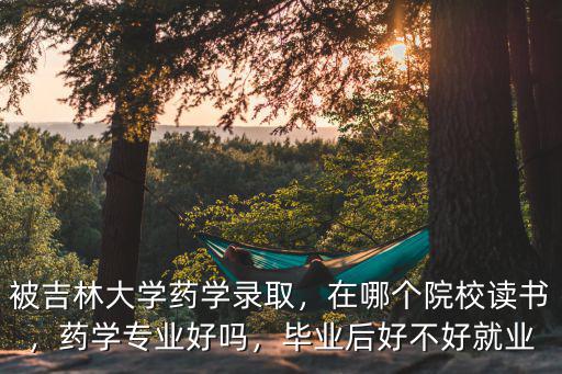 吉林大学药学专业是什么学位,被吉林大学药学录取