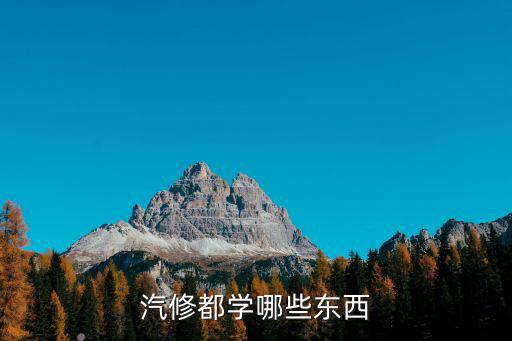 汽修方面学什么最好,计算机和汽修学什么好