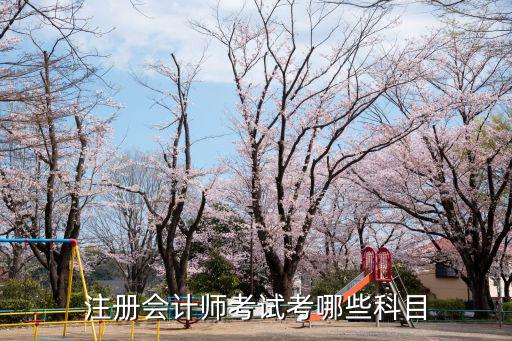 会计师要考什么科目,注册会计师考试考哪些科目