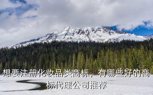 想要注册化妆品类商标，有哪些好的商标代理公司推荐