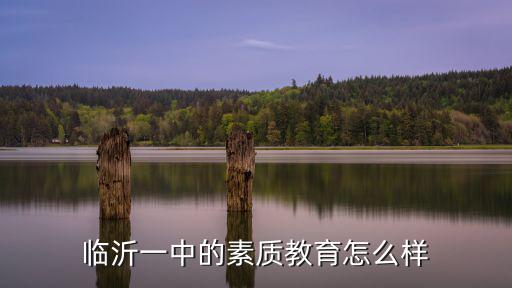 临沂一中的素质教育怎么样