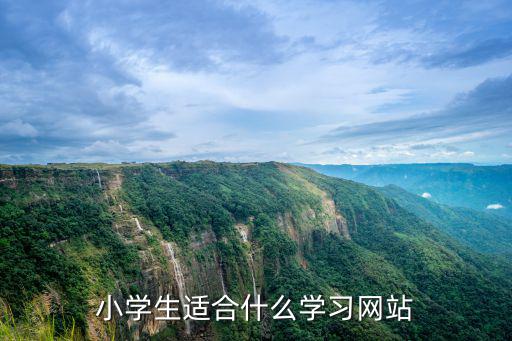 小学生适合什么学习网站