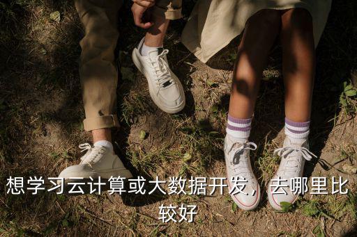 想学习云计算或大数据开发，去哪里比较好
