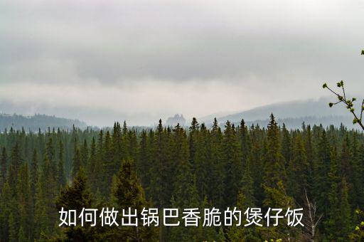 有锅巴的堡仔饭怎么做,锡纸煲仔饭怎么做锅巴