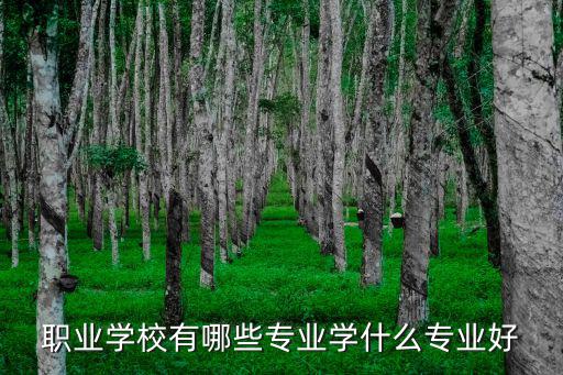 职业学校有哪些专业学什么专业好