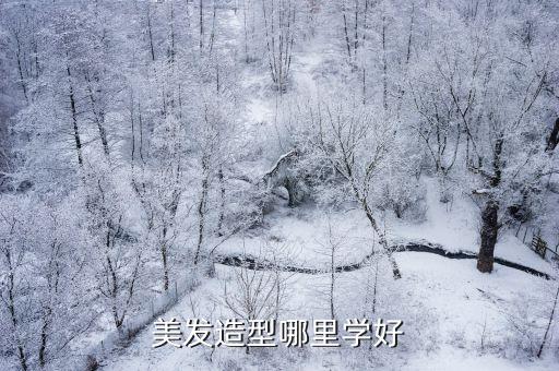 成都学美发哪里最好,美发造型哪里学好