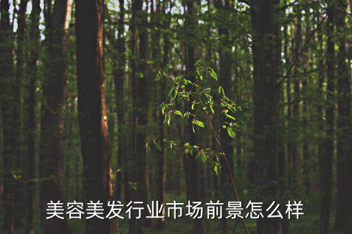 韶关美容美发港都怎么样,美容美发赚钱吗