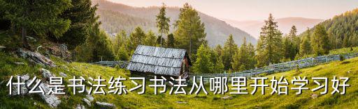 什么是书法练习书法从哪里开始学习好