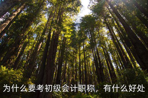 为什么要考初级会计职称，有什么好处