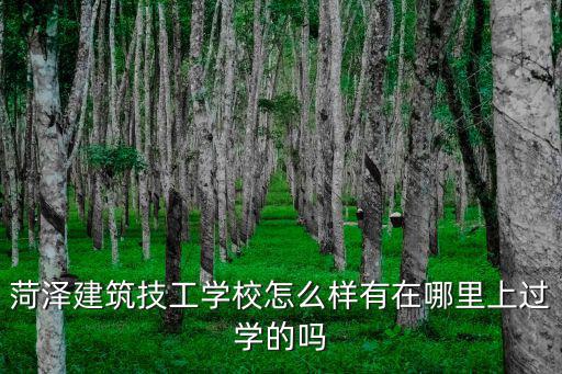 菏泽的叉车学校怎么样,菏泽建筑技工学校怎么样