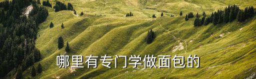 哪里有专业培训做粽子的,哪里有专门学做面包的