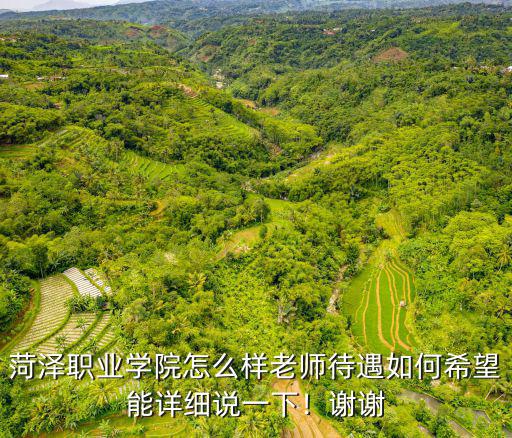 菏泽职业学院怎么样老师待遇如何希望能详细说一下！谢谢