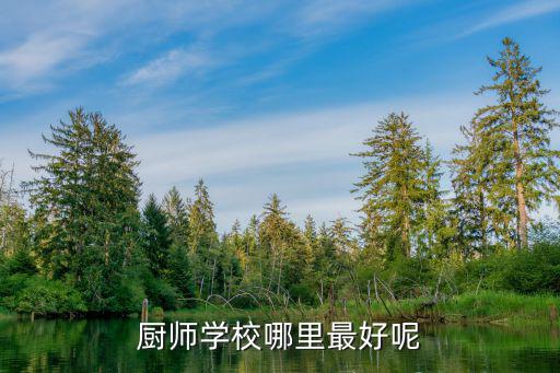 哪里的厨师学校最好,中国最好的厨师学校是哪里