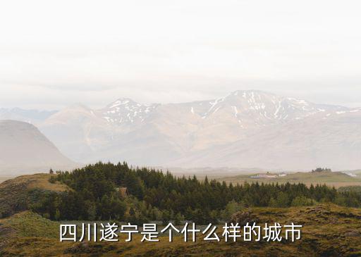 四川遂宁是个什么样的城市