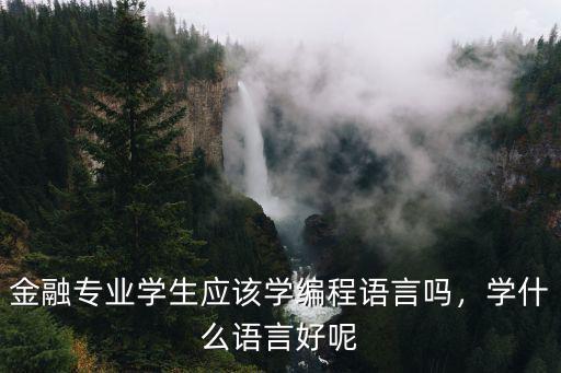 金融专业学生应该学编程语言吗，学什么语言好呢