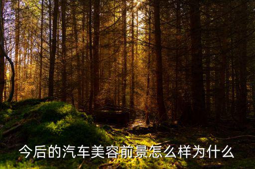 2016年汽车美容行业怎么样,汽车精洗行业怎么样