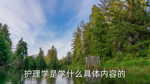 中国的护理学校有哪些内容是什么意思,护理专科学校有哪些