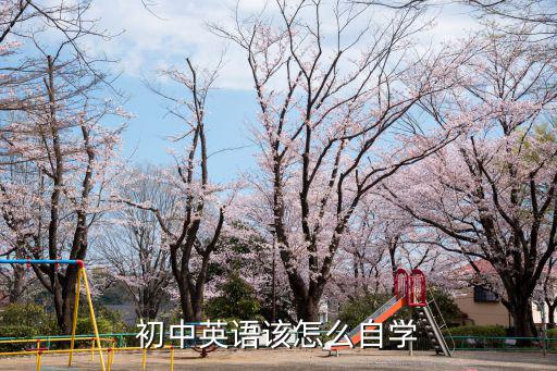 初中英语该怎么自学