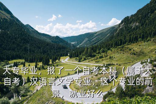大专毕业，报了一个自考本科（属于大自考）汉语言文学专业，这个专业的前景，就业好么