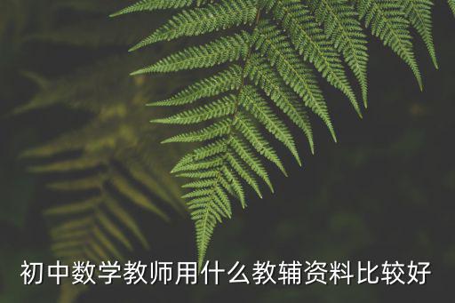 初二数学教辅什么好,初中数学用什么教辅书好
